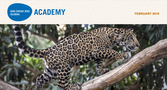 San Diego Zoo Global Academy