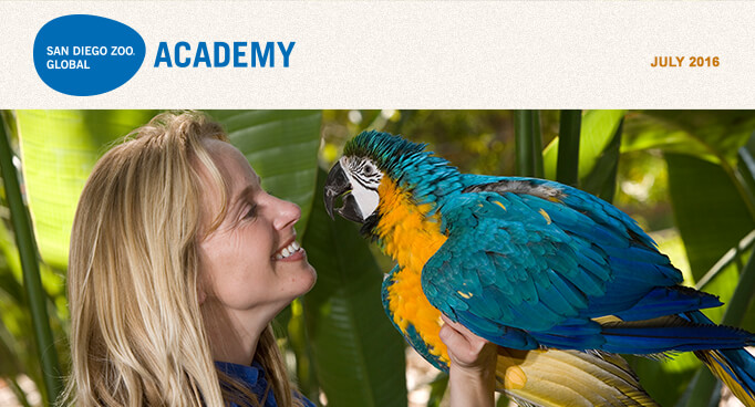 San Diego Zoo Global Academy, July 2016. Photo of trainer with a blue and gold macaw.