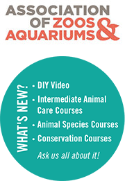 Association of Zoos & AquariumsWhat's New?DIY Video. Intermediate Animal Care Courses. Animal Species Courses. Conservation Courses. As us all about it!