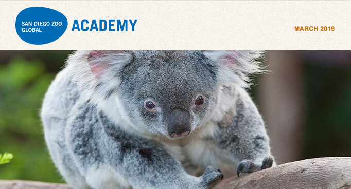 San Diego Zoo Global Academy, March 2019