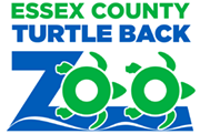ESSEX COUNTY TURTLE back zoo