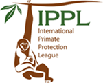 International Primate Protection League logo